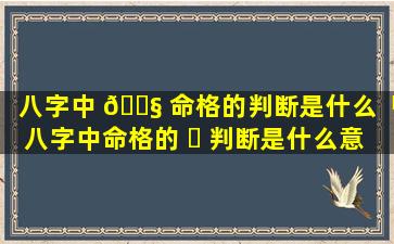 八字中 🐧 命格的判断是什么「八字中命格的 ☘ 判断是什么意思」